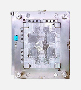 double-color-injection-module