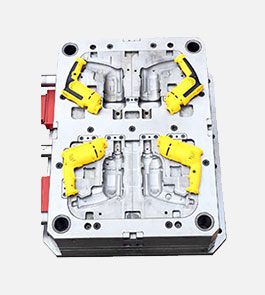 double-color-injection-module