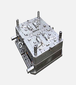 double-color-injection-module